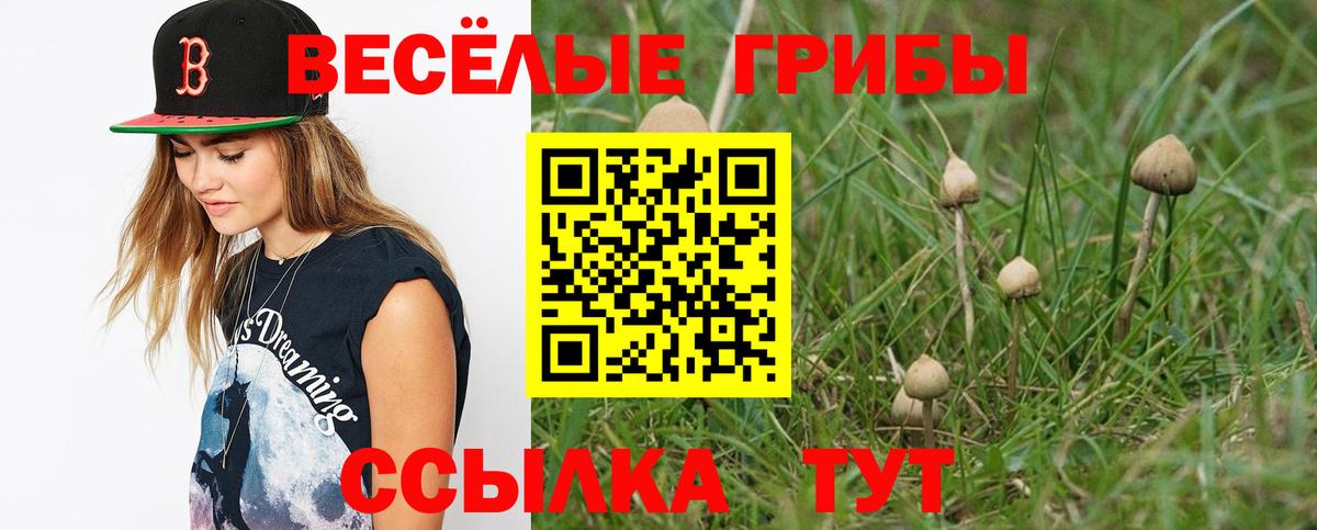 Галлюциногенные грибы GOLDEN TEACHER Мценск