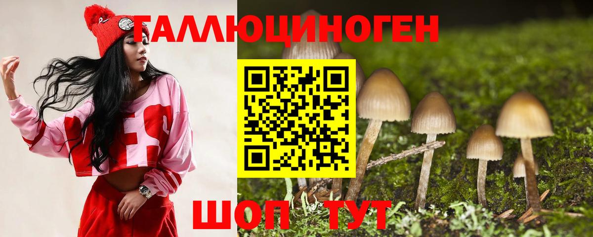 Мценск  купить наркотик  Вход с VPN  Псилоцибиновые грибы GOLDEN TEACHER  Галлюциногенные грибы GOLDEN TEACHER 
