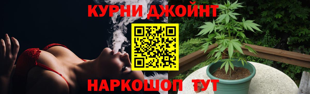 Марихуана тримм  Вход с VPN  Канабис OG Kush  Шишки марихуана конопля  Бошки марихуана LSD WEED  Мценск 